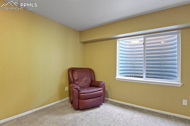 6557 Many Moon Dr, Colorado Springs, CO 80923 - living area featuring carpet flooring and baseboards