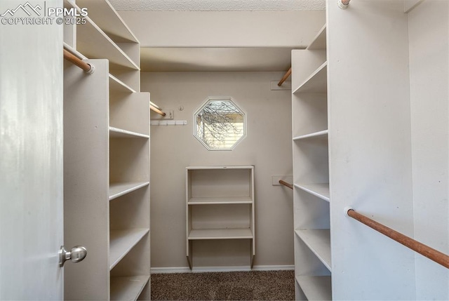 7435 Julynn Rd, Colorado Springs, CO 80919 - spacious closet featuring carpet floors