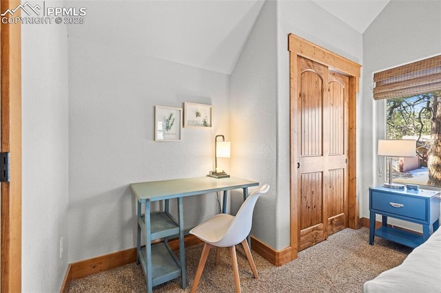 404 S Willow St, Woodland Park, CO 80863 - office space with lofted ceiling, baseboards, and carpet