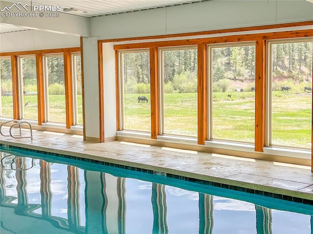621 Yorktown Rd, Cripple Creek, CO 80863 - view of indoor pool