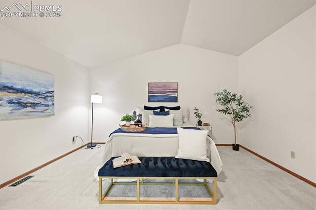 8110 Routt Ct, Colorado Springs, CO 80919 - bedroom featuring carpet flooring and lofted ceiling