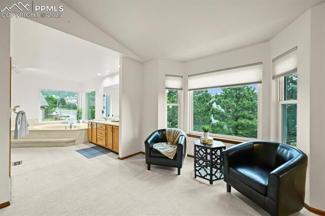 8110 Routt Ct, Colorado Springs, CO 80919 - sitting room featuring light colored carpet and lofted ceiling