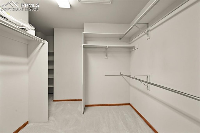 8110 Routt Ct, Colorado Springs, CO 80919 - spacious closet featuring carpet flooring