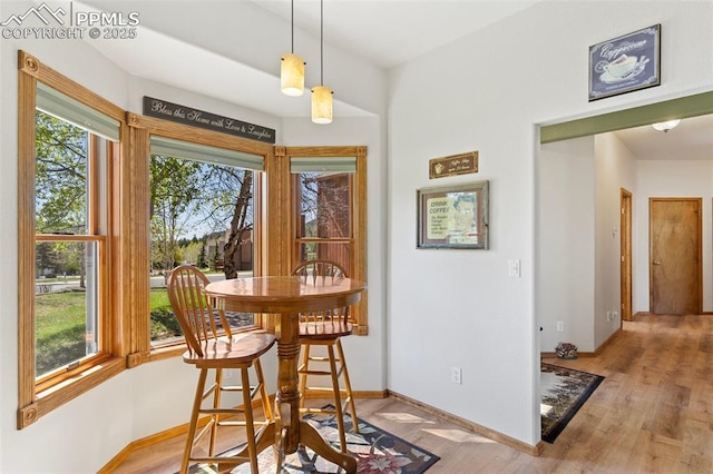 802 Red Eagle Ct, Woodland Park, CO 80863 - dining space featuring baseboards and light wood-style flooring