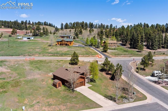 802 Red Eagle Ct, Woodland Park, CO 80863 - aerial view of property and surrounding area