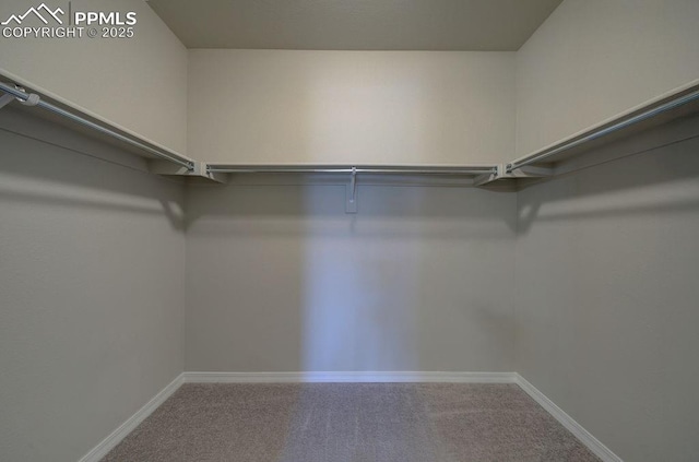 10144 Bluffstone Ct, Peyton, CO 80831 - walk in closet with carpet flooring