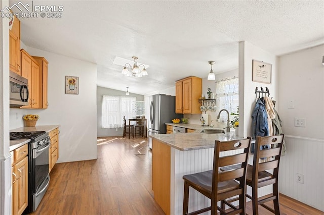 9180 S Rush Rd, Rush, CO 80833 - kitchen with appliances with stainless steel finishes, a sink, healthy amount of natural light, a chandelier, and wainscoting