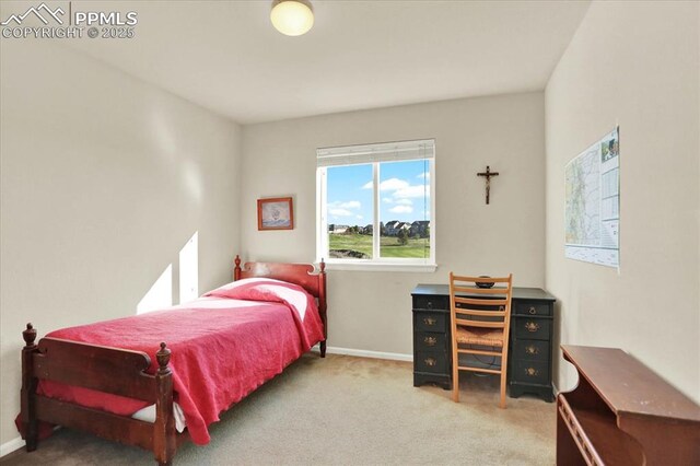 9773 Beryl Dr, Peyton, CO 80831 - carpeted bedroom with baseboards