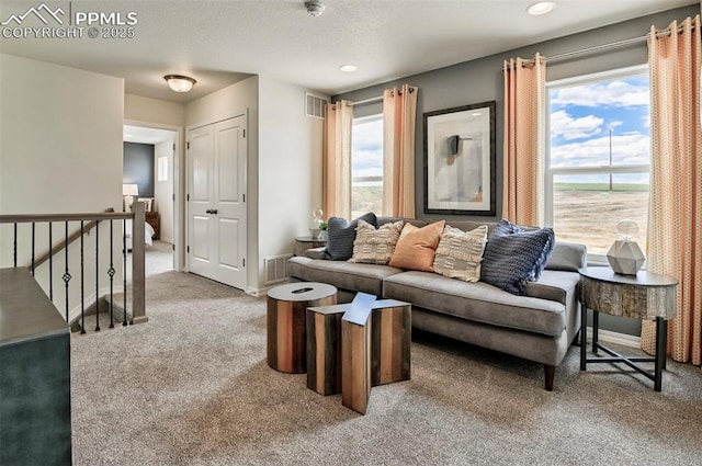 10811 Raylan Way, Falcon, CO 80831 - carpeted living area with recessed lighting and baseboards