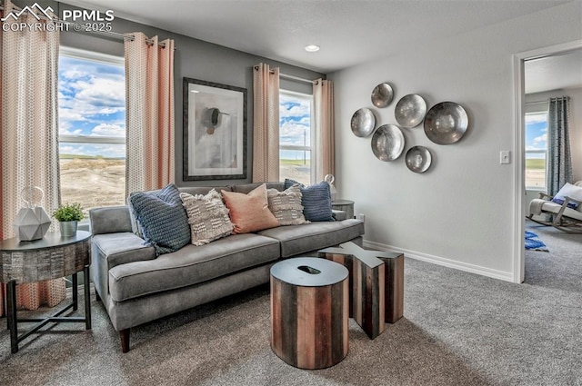 10811 Raylan Way, Falcon, CO 80831 - living area with carpet and baseboards