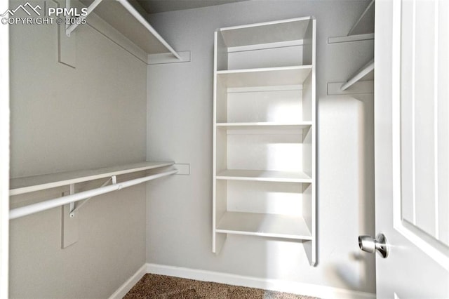 1210 Westend Ave, Colorado Springs, CO 80904 - walk in closet with carpet flooring