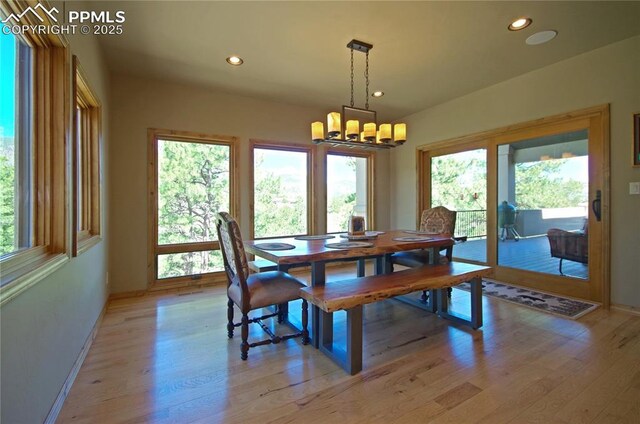 797 Forest View Way, Monument, CO 80132 - dining room featuring a chandelier, plenty of natural light, light wood-style flooring, recessed lighting, and baseboards