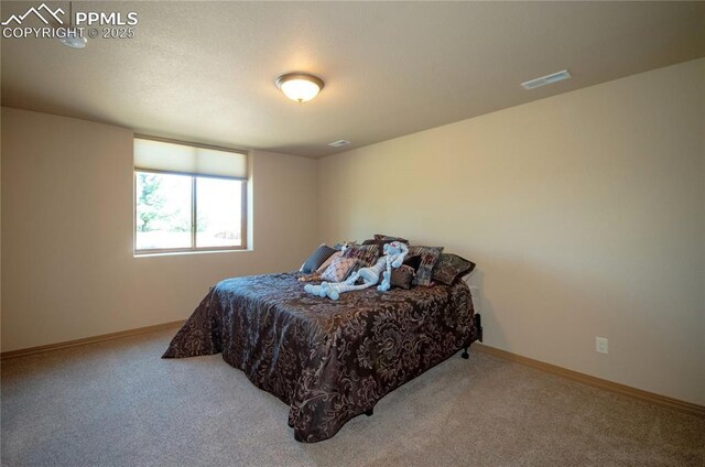 797 Forest View Way, Monument, CO 80132 - bedroom with carpet and baseboards