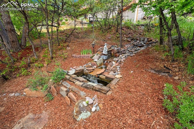 720 Popes Valley Dr, Colorado Springs, CO 80919 - view of yard