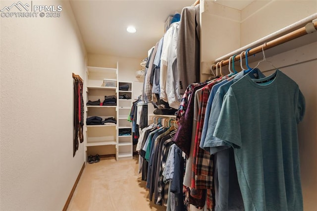 720 Popes Valley Dr, Colorado Springs, CO 80919 - walk in closet featuring carpet flooring