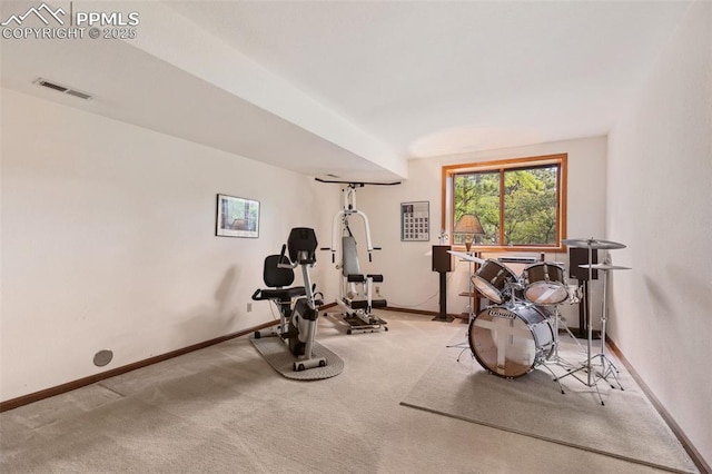 720 Popes Valley Dr, Colorado Springs, CO 80919 - workout area featuring baseboards and carpet