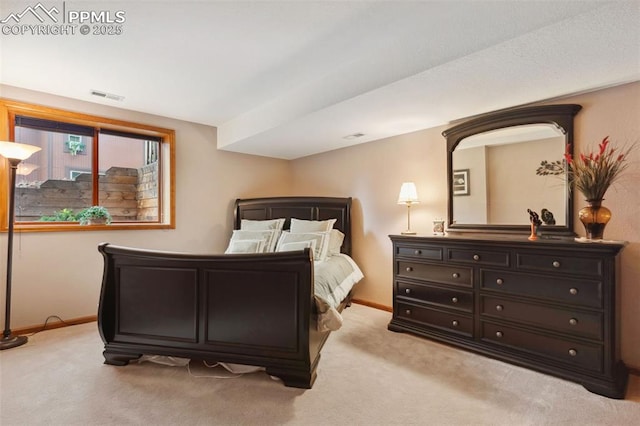 720 Popes Valley Dr, Colorado Springs, CO 80919 - bedroom featuring light carpet and baseboards