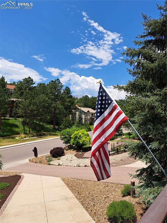 720 Popes Valley Dr, Colorado Springs, CO 80919 - view of yard