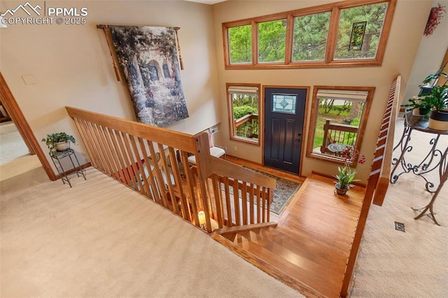 720 Popes Valley Dr, Colorado Springs, CO 80919 - foyer with carpet, healthy amount of natural light, baseboards, and a high ceiling
