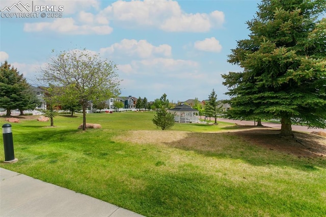 7711 Menagerie Ln, Colorado Springs, CO 80923 - view of home's community with a yard