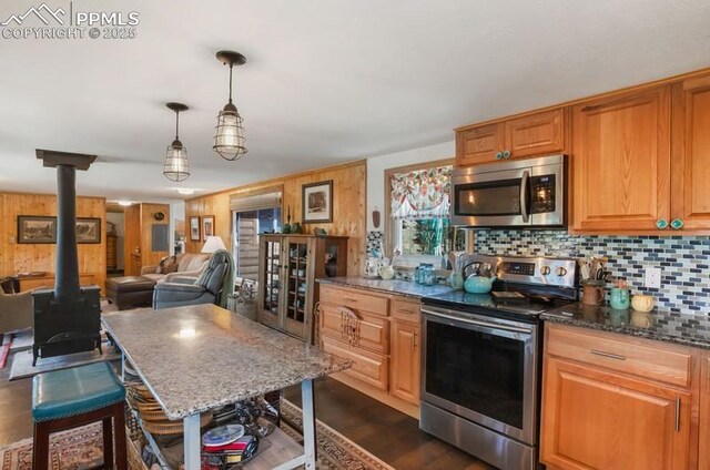 258 Shavano Creek Trl, Florissant, CO 80816 - kitchen featuring stainless steel appliances, a wood stove, backsplash, dark wood-style floors, and dark stone countertops