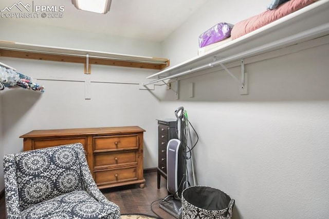 258 Shavano Creek Trl, Florissant, CO 80816 - walk in closet with dark wood-style floors