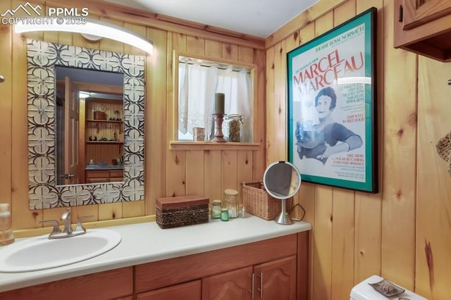 258 Shavano Creek Trl, Florissant, CO 80816 - bathroom featuring wooden walls and vanity