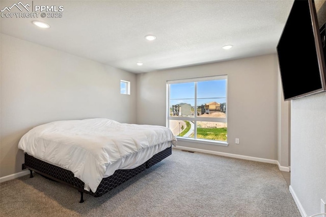 10671 Larimar Pt, Colorado Springs, CO 80905 - carpeted bedroom with recessed lighting and baseboards