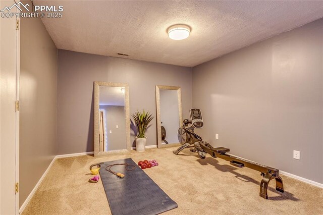 14915 Gleneagle Dr, Colorado Springs, CO 80921 - workout area with carpet flooring, a textured ceiling, and baseboards