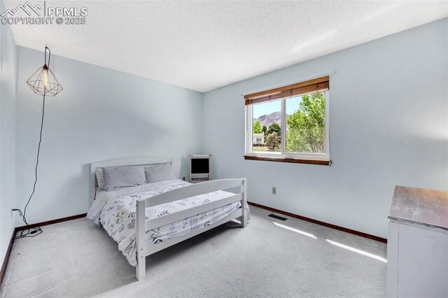 6390 Moccasin Pass Ct, Colorado Springs, CO 80919 - bedroom featuring baseboards, carpet flooring, and a textured ceiling