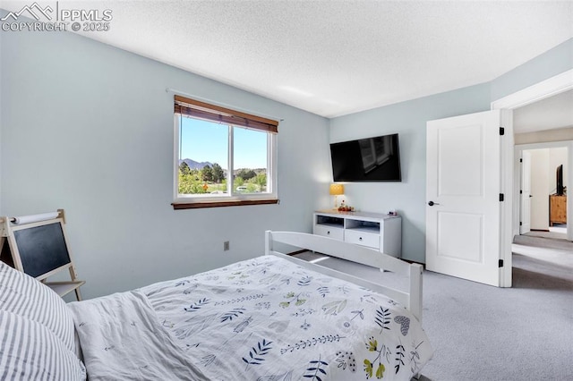 6390 Moccasin Pass Ct, Colorado Springs, CO 80919 - bedroom featuring carpet flooring and a textured ceiling