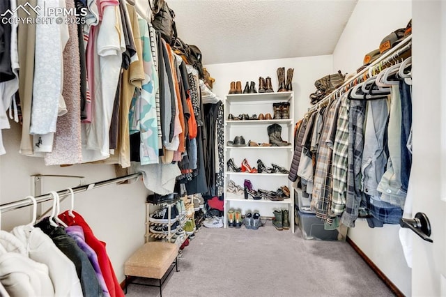 6390 Moccasin Pass Ct, Colorado Springs, CO 80919 - spacious closet with carpet flooring