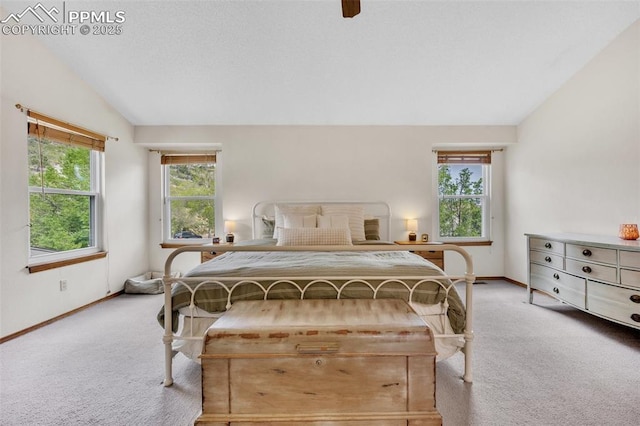 6390 Moccasin Pass Ct, Colorado Springs, CO 80919 - bedroom featuring carpet flooring, multiple windows, vaulted ceiling, and baseboards