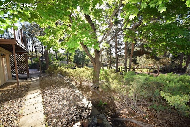 view of yard