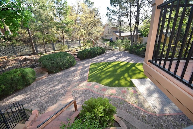 view of yard featuring a patio area