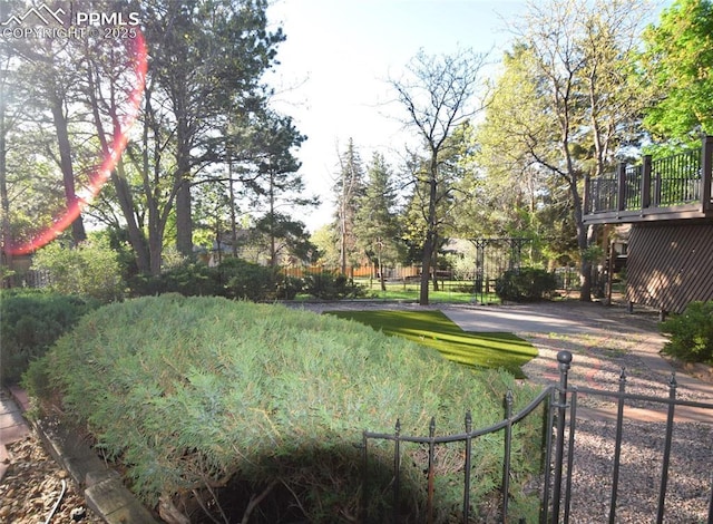 view of yard
