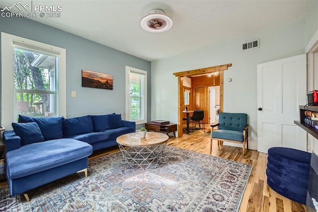 738 E Cache La Poudre St, Colorado Springs, CO 80903 - living area with light wood finished floors