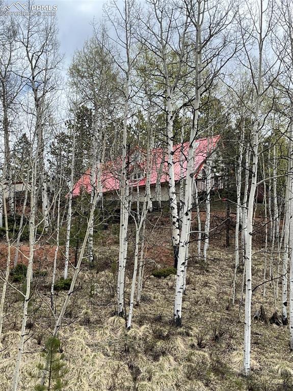 646 Grey Eagle Dr, Cripple Creek, CO 80813 - view of undeveloped land