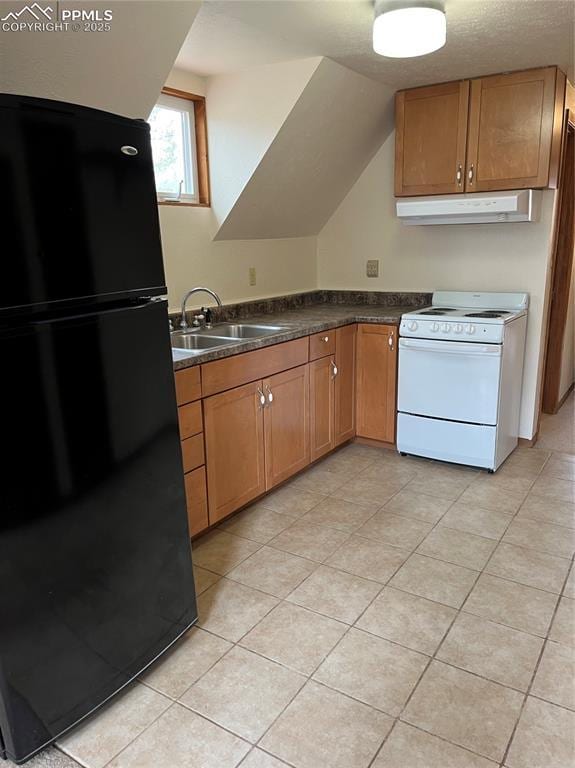 646 Grey Eagle Dr, Cripple Creek, CO 80813 - kitchen with freestanding refrigerator, electric stove, extractor fan, a sink, and dark countertops