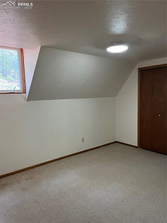 646 Grey Eagle Dr, Cripple Creek, CO 80813 - bonus room featuring a textured ceiling, lofted ceiling, baseboards, and light colored carpet