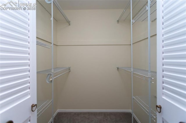 6331 Mesedge Dr, Colorado Springs, CO 80919 - walk in closet with carpet
