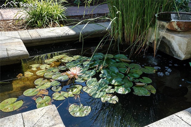 15 Cypress Ln, Colorado Springs, CO 80906 - exterior view of a garden pond