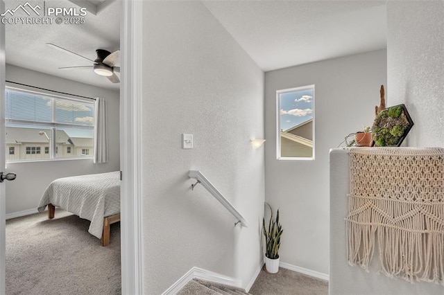 793 Grissom Dr, Colorado Springs, CO 80915 - carpeted bedroom with baseboards and a textured wall