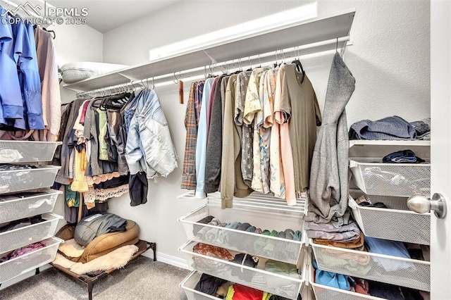 793 Grissom Dr, Colorado Springs, CO 80915 - walk in closet with carpet