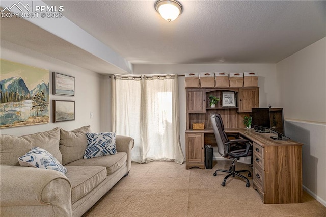 6463 Binder Dr, Colorado Springs, CO 80923 - office space with light colored carpet