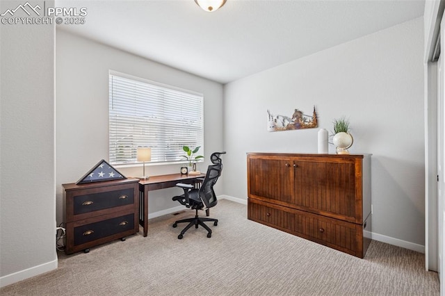 2267 Merlot Dr, Colorado Springs, CO 80921 - office space featuring carpet and baseboards