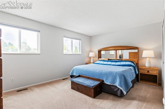 7350 Devinney Ct, Arvada, CO 80005 - bedroom with carpet, a textured ceiling, and baseboards