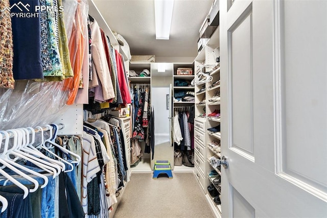 6 3rd St, Colorado Springs, CO 80906 - walk in closet with carpet flooring