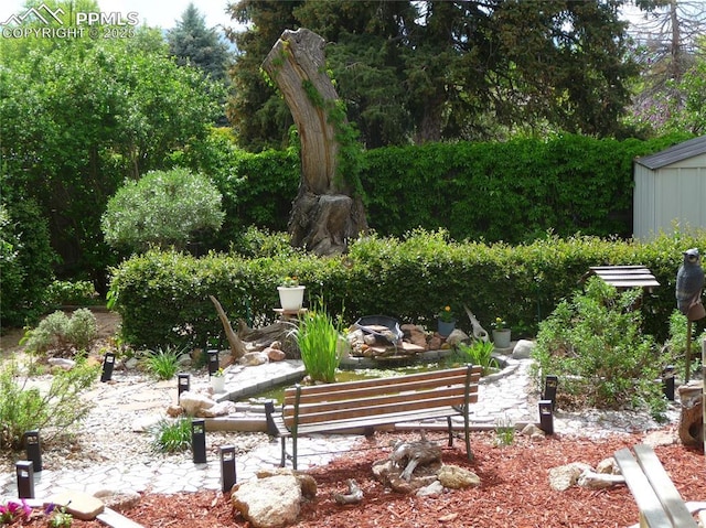 4307 Valli Vista Rd, Colorado Springs, CO 80915 - view of yard