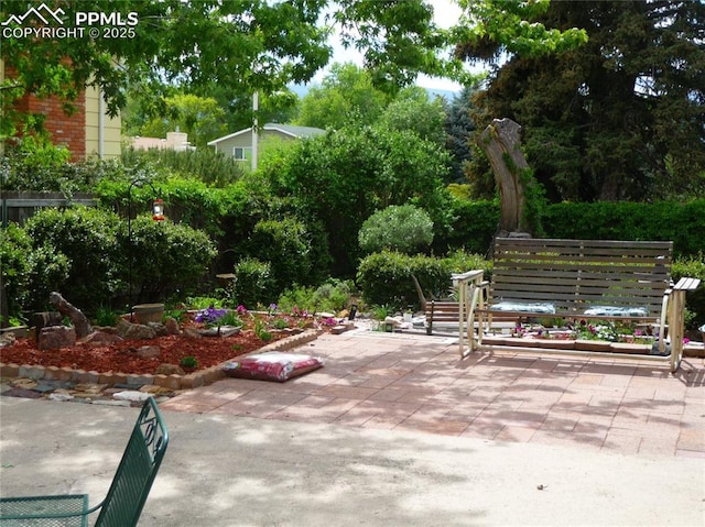 4307 Valli Vista Rd, Colorado Springs, CO 80915 - view of patio